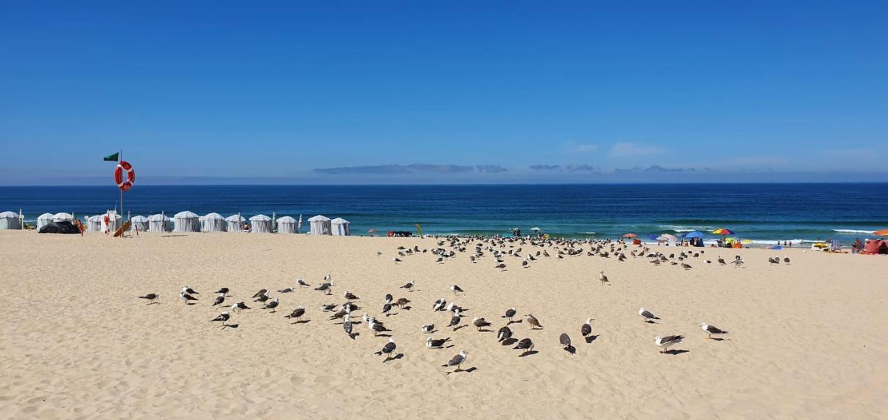 Casa da Mata Villa Praia de Mira Luaran gambar