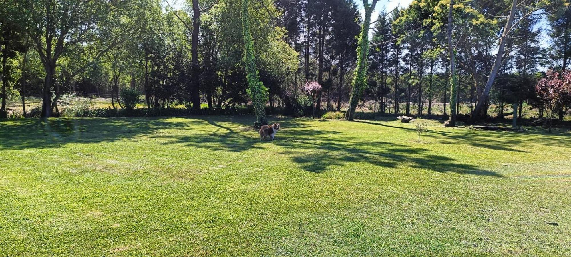 Casa da Mata Villa Praia de Mira Luaran gambar
