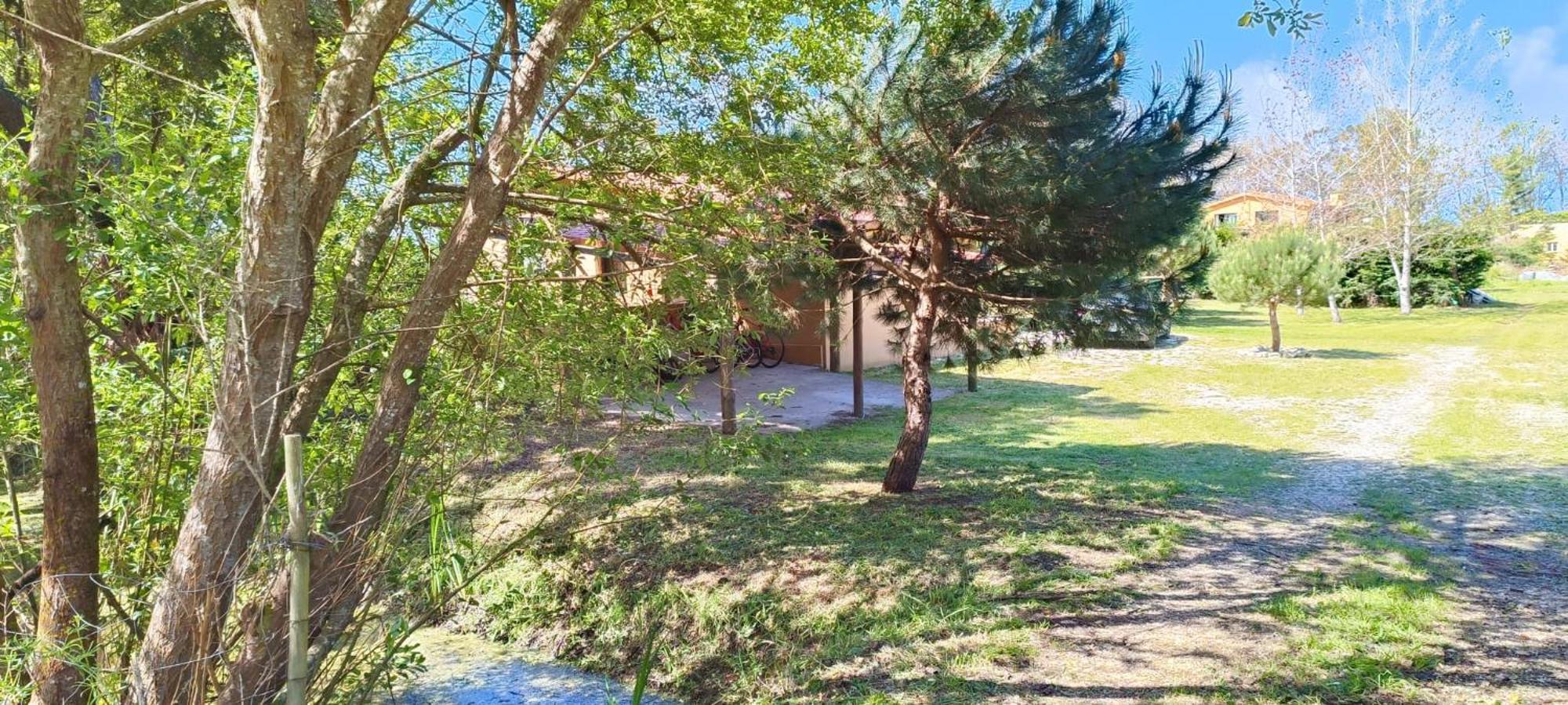 Casa da Mata Villa Praia de Mira Luaran gambar